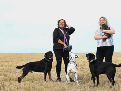 Distinctly Pawsome, Specialist Wedding Pet Chaperones