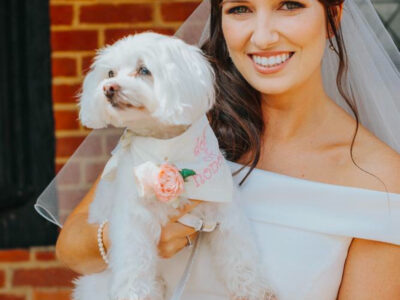 Distinctly Pawsome, Specialist Wedding Pet Chaperones